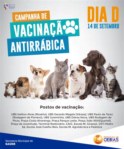 Dia D da campanha de vacinação antirrábica para cães e gatos acontece