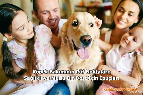 Köpek Bakımı Hakkında Bilmeniz Gerekenler Kedi Ve Köpek Mamaları