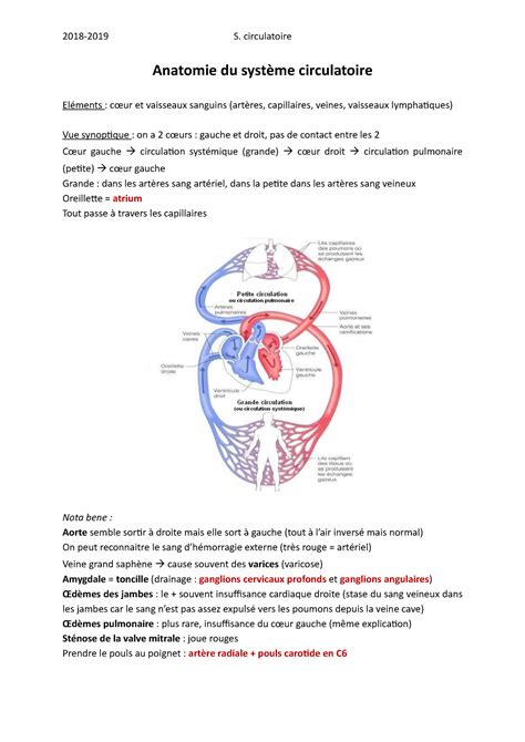 Cardio a Warning TT undefined function 32 Anatomie du système