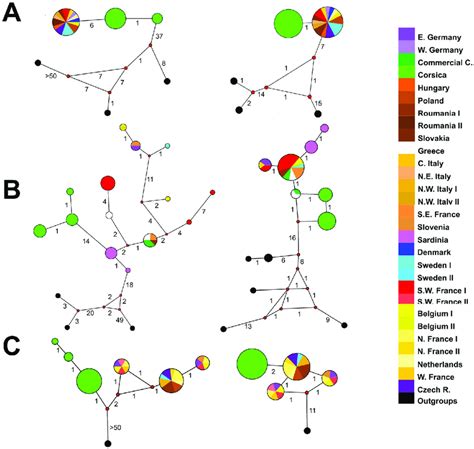 Median Joining Network Of Haplotypes Found In 4 Model Species Ranges