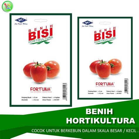 Jual Benih Tomat Fortuna Bisi Hortikultura Benih Bisi Cap Kapal