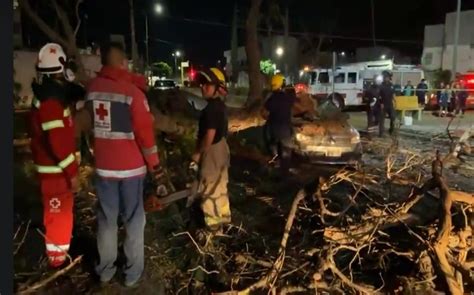 Tehuacán Puebla Por Viento árbol Cae Sobre Auto Y Deja 2 Lesionados