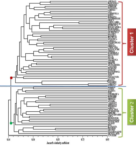 Dendrogram Of 79 Olive Accessions Generated By Unweighted Pair Group