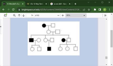 Biology Chapter 12 Mendel S Experiment And Heredity Flashcards Quizlet