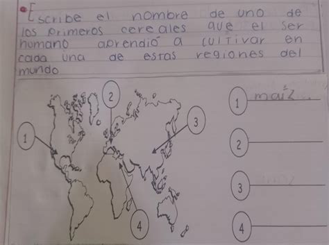 Escribe El Nombre De Uno De Los Primeros Cereales Que El Ser Humano