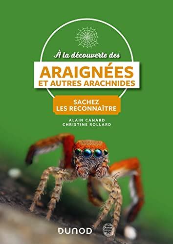 6 guides de référence pour identifier les araignées et autres arachnides