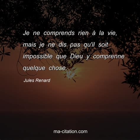 Je Ne Comprends Rien La Vie Mais Je Ne Dis Pas Qu Il Soit Impossible