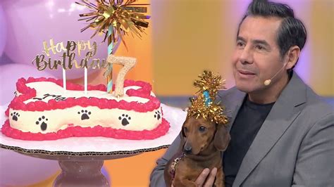 Qué incluye una fiesta para perros y cuánto puede llegar a costar