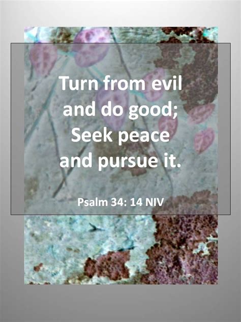 Turn From Evil And Do Good Seek Peace And Pursue It Psalm 34 14 Niv