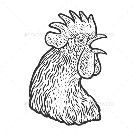 Crowing Cock Head Sketch Vector Illustration By Alexanderpokusay Graphicriver