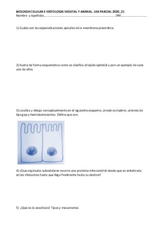 Examen 1er Parcial BCHVA 2021 DFJ Pdf