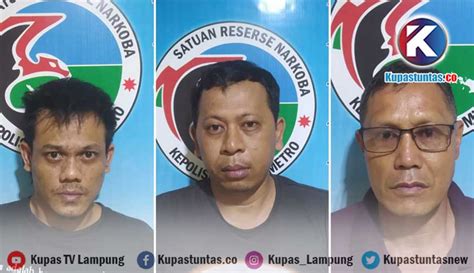 Kupas Tuntas Polisi Tangkap Tiga Pengedar Dan Pengguna Ganja Di Metro