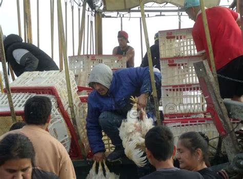 Cientos De Vecinos Saquearon En Minutos Un Cami N Cargado Con Pollos