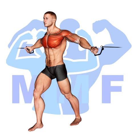 Cable Flys Great Chest Isolation Exercise With Continuous Resistance