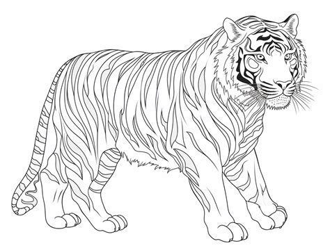 Adult Coloring Page Chinese New Year Tiger Coloring Page