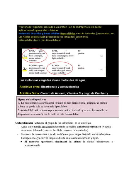 SOLUTION Farmacologi A Ph Y Ana Lisis De Caso Cli Nico Studypool