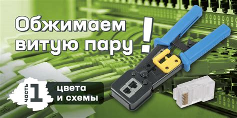 А вы знаете, как обжимать витую пару? Разбираемся с цветами жил и ...