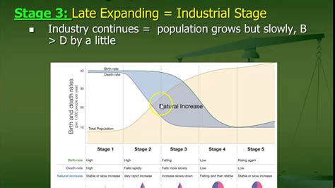 81 Part 2 Demographic Transition Models And Age Sex Pyramids Youtube