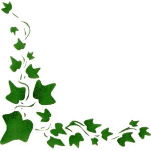 Ivy Outline - ClipArt Best