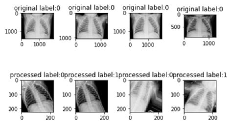 examples   data  scientific diagram
