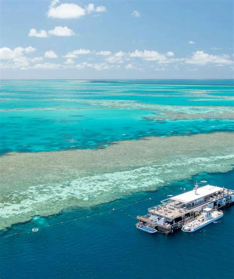 Barrier Reef Tours Best 2025 Trips, Tours & Cruises Great Barrier Reef