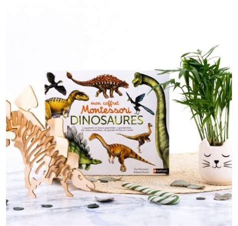 Mon Coffret Montessori Des Dinosaures