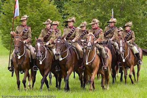 Grant project profiles: War horses of south-east Queensland – the untold story