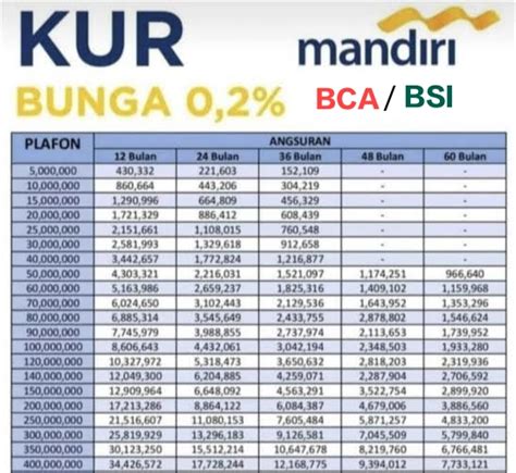 WOW Bank Mandiri BCA Dan BSI Programkan Dana Pinjaman KUR 2024