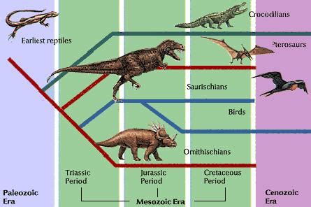 dinosaurs lived throughout most of the mesozoic era which is divided ...