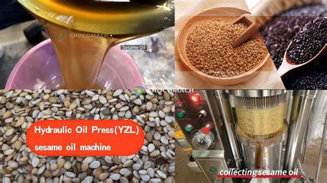 Hydraulic Seasame Oil Press The Important Machine Of Sesame Oil Line