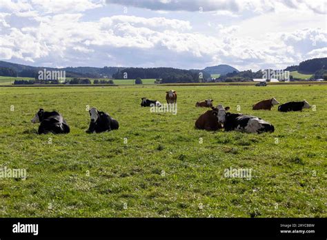 Bauer Verschiedene Tiere Hi Res Stock Photography And Images Alamy