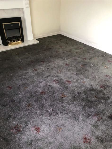 Professional Carpet Dyeing Service Covering London And The Uk