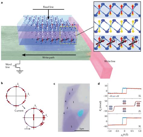 SOT In 2D Materials A Schematic Of A Single Cell Of A Spin Orbit