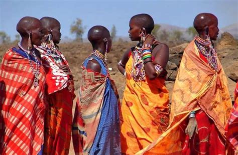 Besök I Maasai Village I Maasai Mara Getyourguide