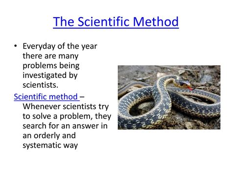 Ppt 1 2 The Scientific Method A Way Of Problem Solving Powerpoint Presentation Id 2630566