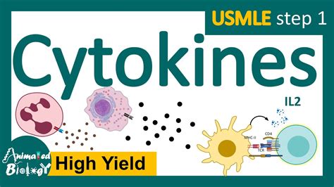 Cytokines | subclasses of cytokines | functions of cytokines | USMLE ...