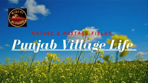 Mustard Fields In Punjab Village Life 2021 Mirchi Blogger Youtube