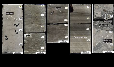 Lithofacies described in cores from Austin Chalk wells from Loucks and... | Download Scientific ...