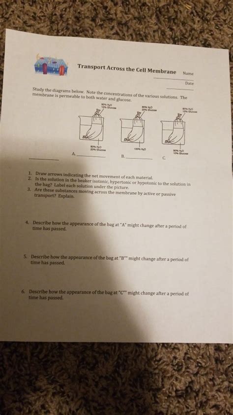 Transport Across The Cell Membrane Worksheet Science Stuff Transport Informations Lane