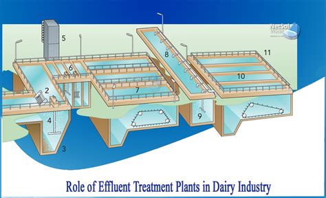 What Is Etp In Dairy Industry Netsol Water