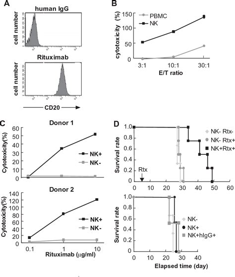 Figure 2 From In Vivo Assay Of Human Nk Dependent Adcc Using Nodscid