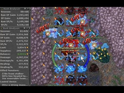 Tibia Great Pearl Fan Reef Hunt 3 5 Kk Profit Hr Two Headed Turtle 9