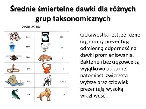 PPT Wpływ promieniowania jonizującego na organizmy żywe PowerPoint