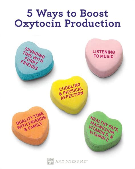 How To Increase Oxytocin The Love Hormone Amy Myers Md