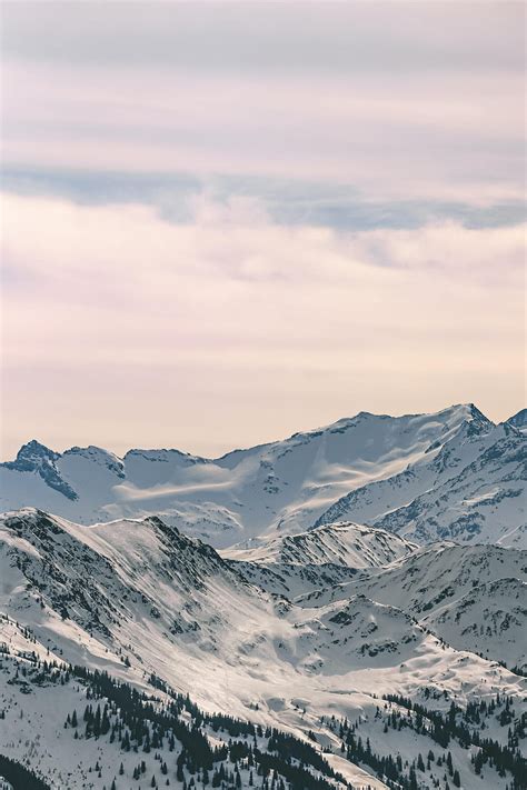 Nature Mountains Snow Vertex Forest Tops HD Phone Wallpaper Pxfuel