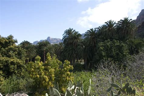 Wetter Auf Gran Canaria Im März 2021 Temperatur And Klimatabelle