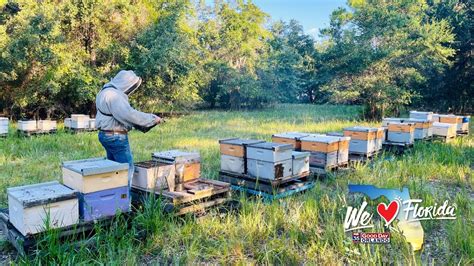 Beez Honey Farm In Florida Specializes In Raw Honey Bees Wax