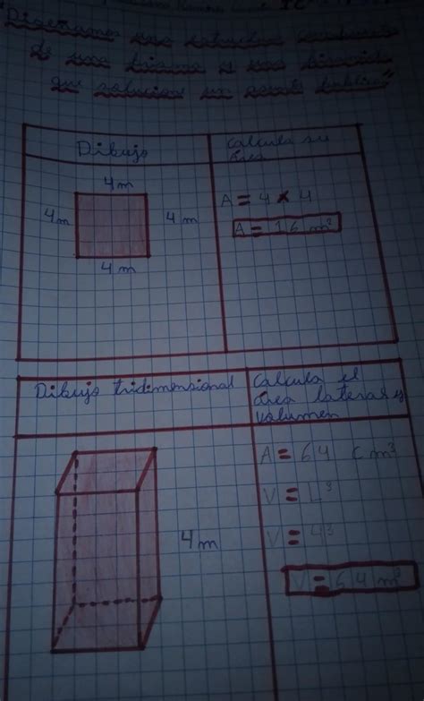 4 Ahora Completamos La Siguiente Tabla Con El Dibujo Del Techo De La