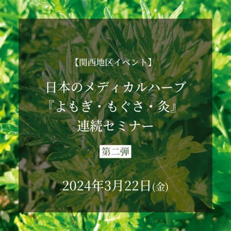 2024年3月22日【関西地区イベント】日本のメディカルハーブ『よもぎ・もぐさ・灸』連続セミナー第二弾 日本メディカルハーブ協会