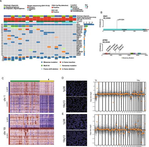 Of Detected Variants Using Targeted Next Generation Sequencing Ngs In